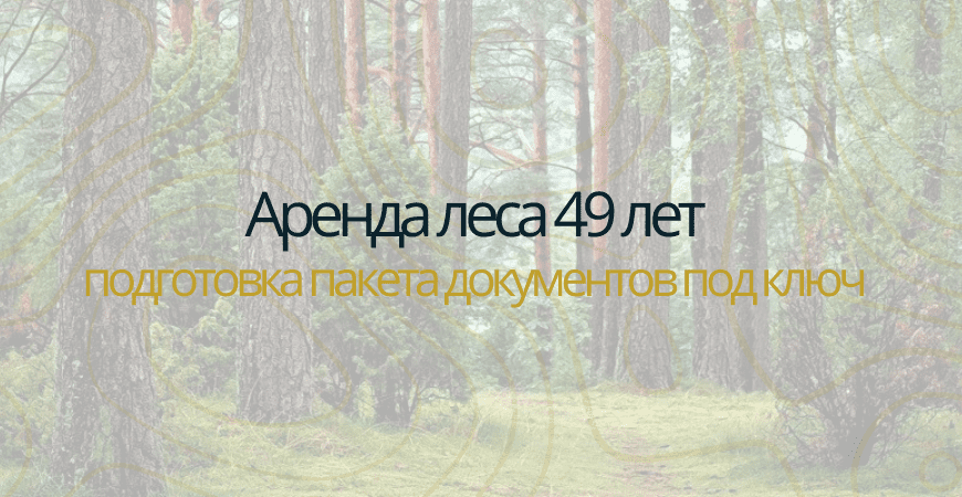 Аренда леса на 49 лет в Киришах